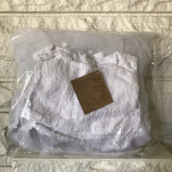 NWT Lace & Tulle Dress - Picture 6 of 8